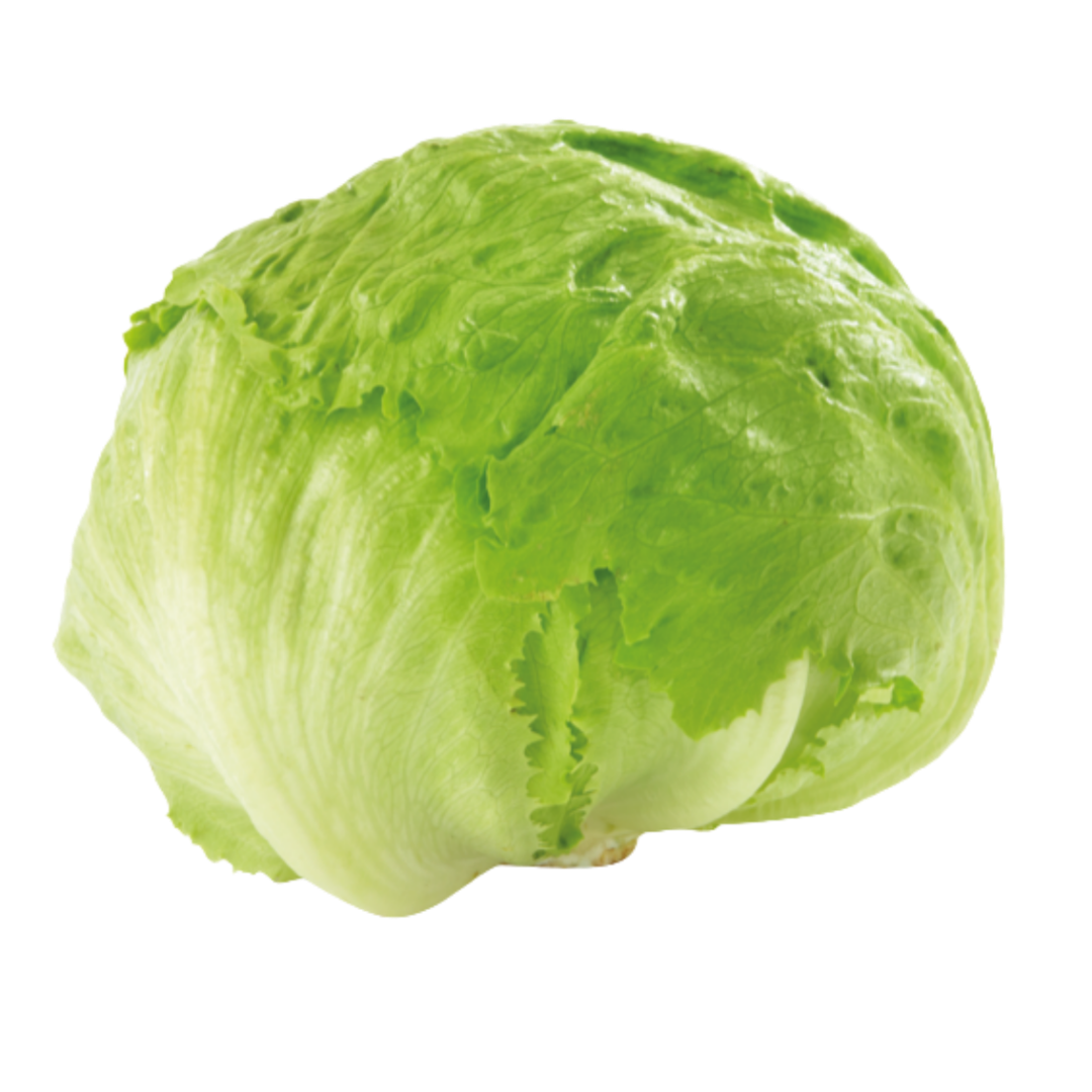 Ijsbergsla