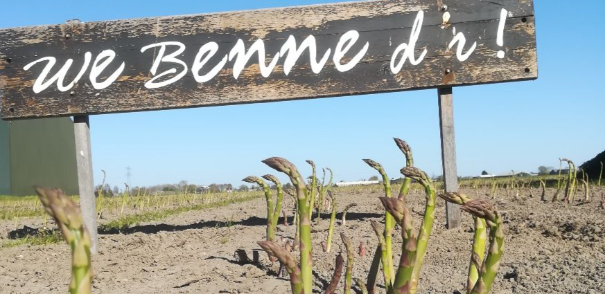 De Groene Asperges!