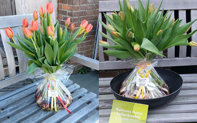 Afbeelding van twee bossen tulpen