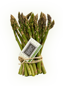 Frisse lentepasta met groene asperges, ricotta en gerookte ham gemengd met verse pesto