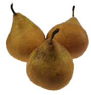 Stoofpeertjes (bijgerecht voor 4 personen)